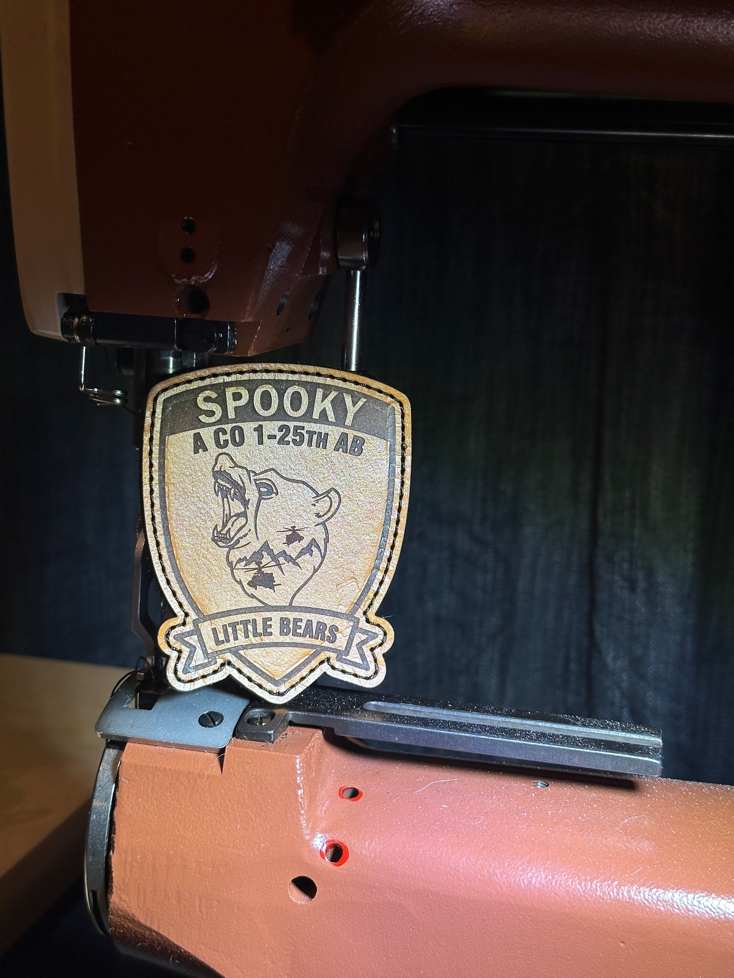 A Co 1-25th AB “Little Bears”